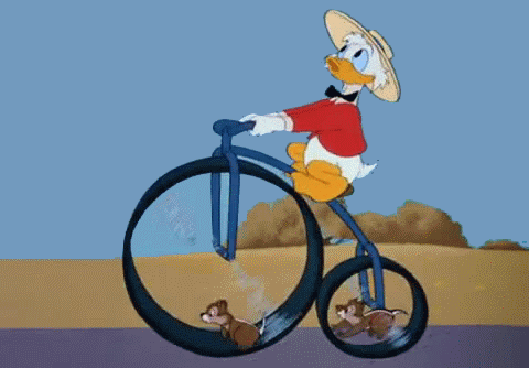0C46AD10-80C3-47A9-B143-9677B4A2FA9A.gif