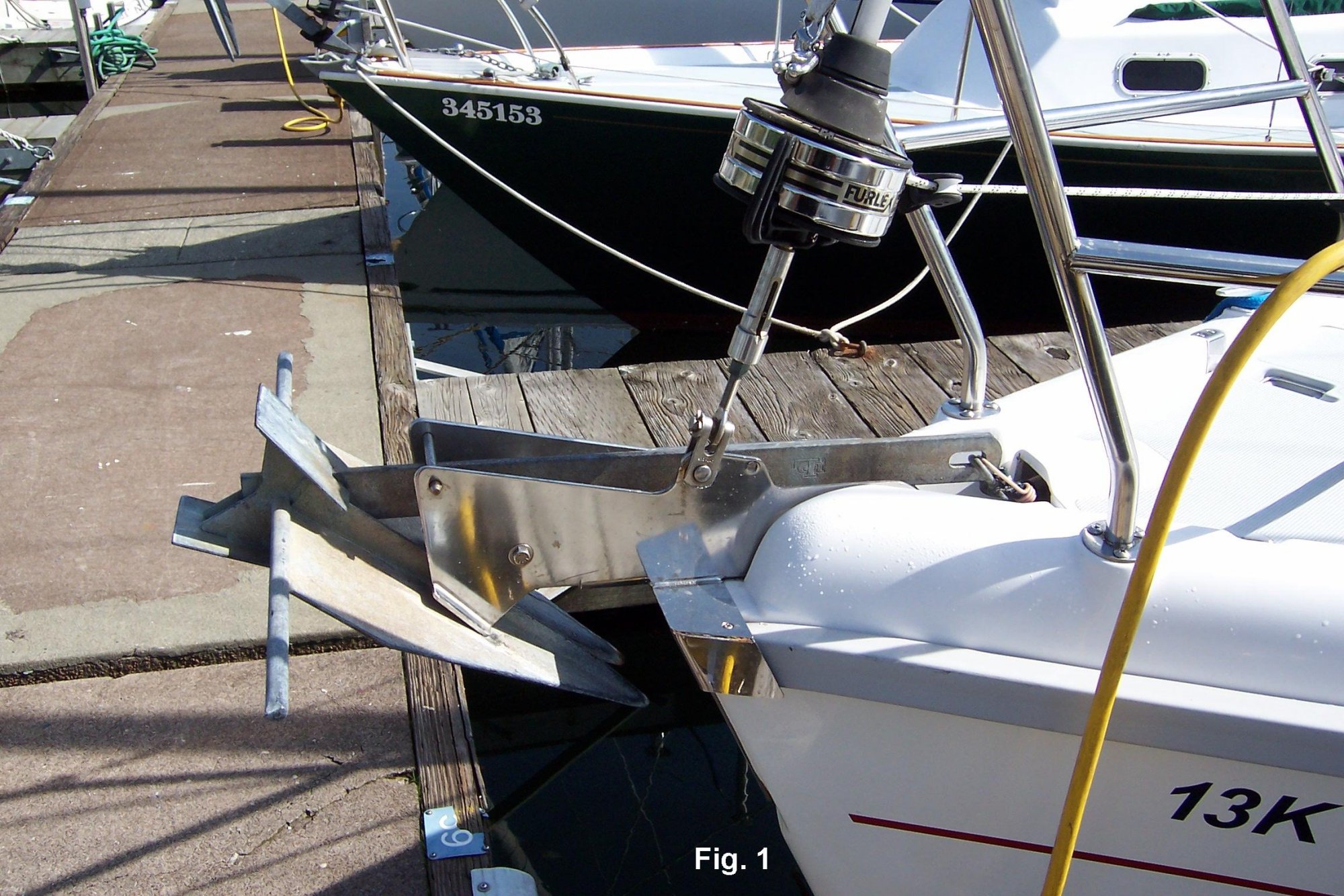 100_0041 fig 1.JPG
