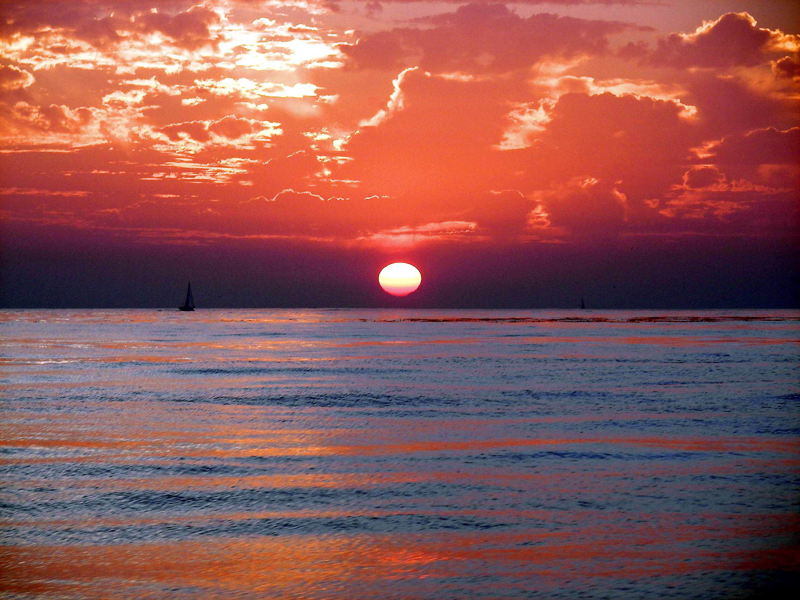 100_0695_edited.jpg