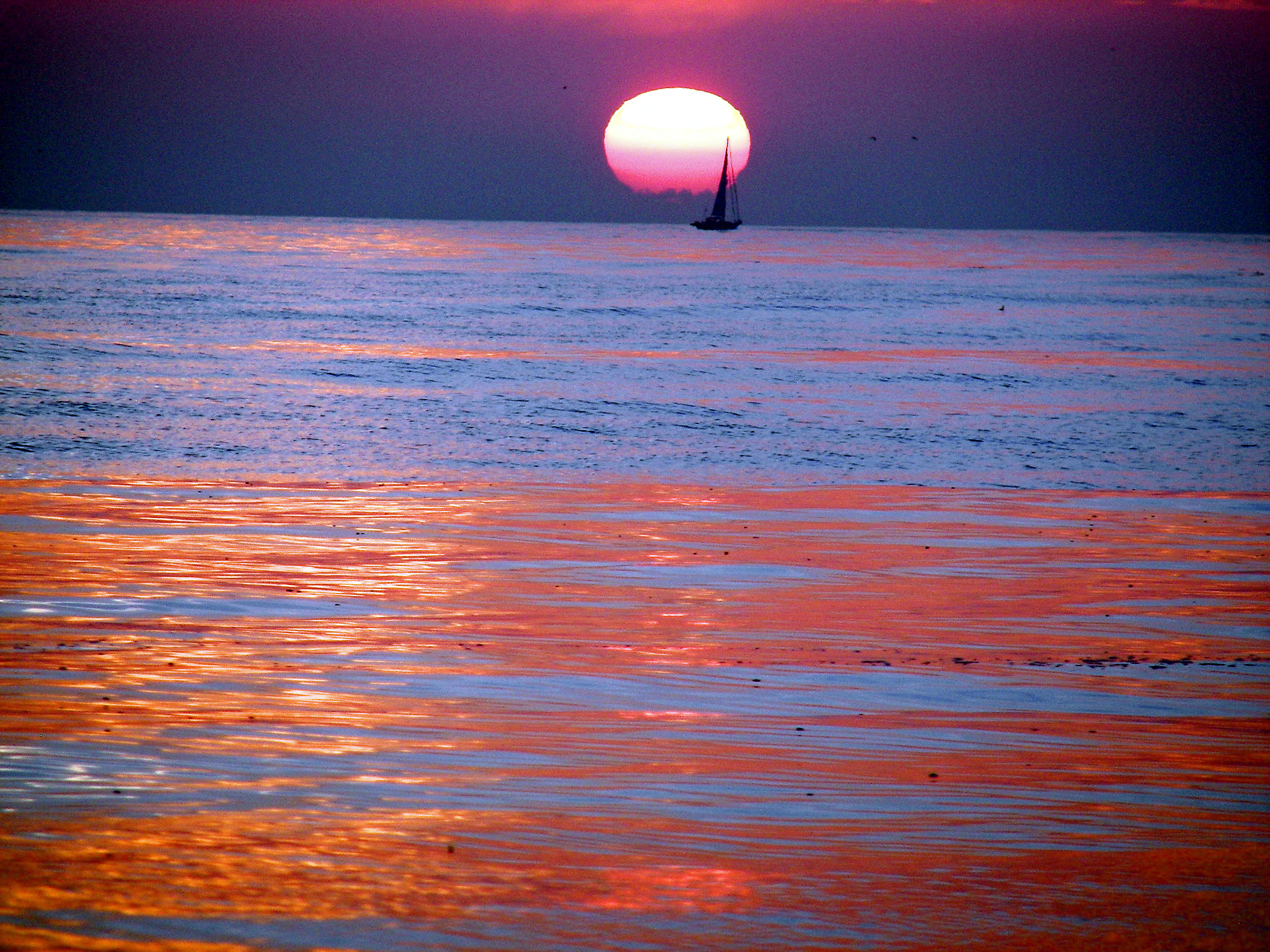 100_0696_edited.jpg