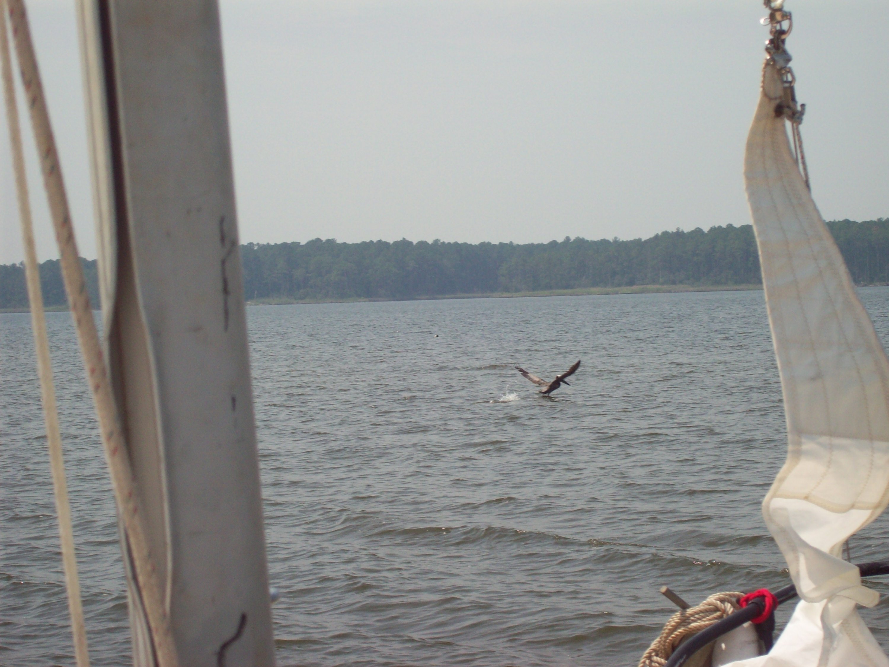 100_0868.JPG