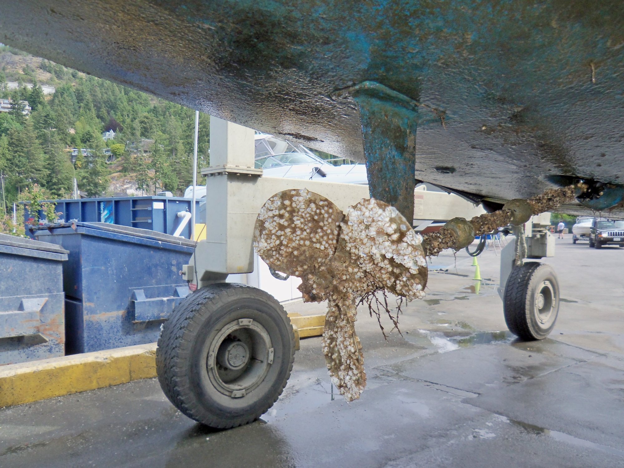100_3257A.jpg