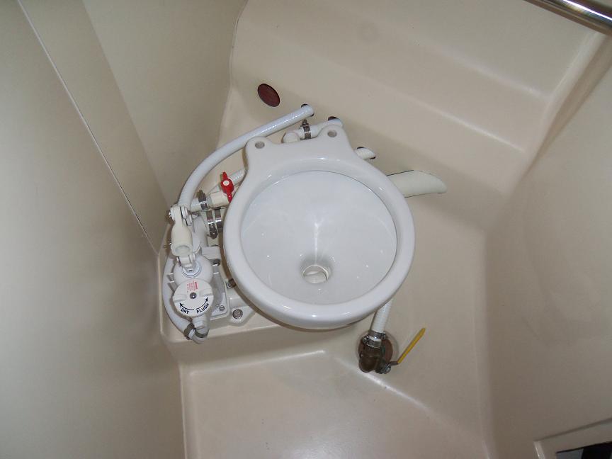 100_3972.jpg