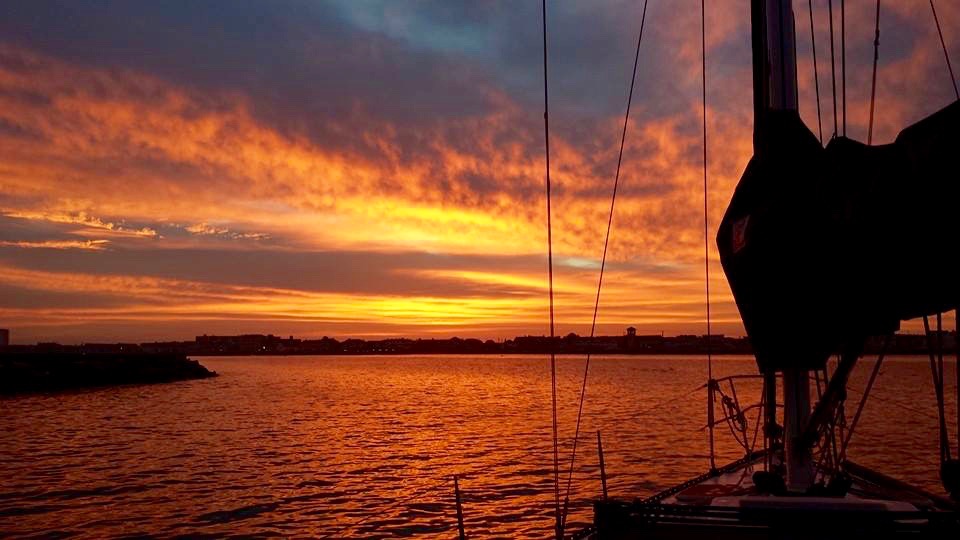 1526644_10203750180892218_4338669973852954704_n.jpg