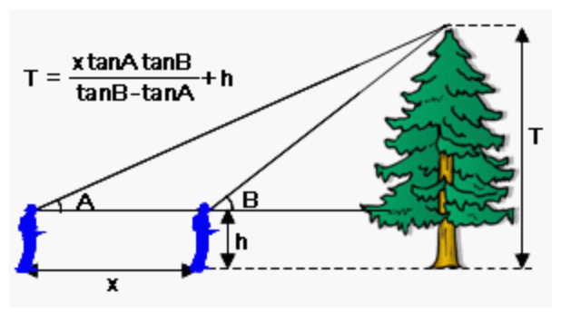 1565962699462.png