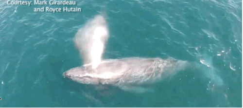 1567938767191.gif