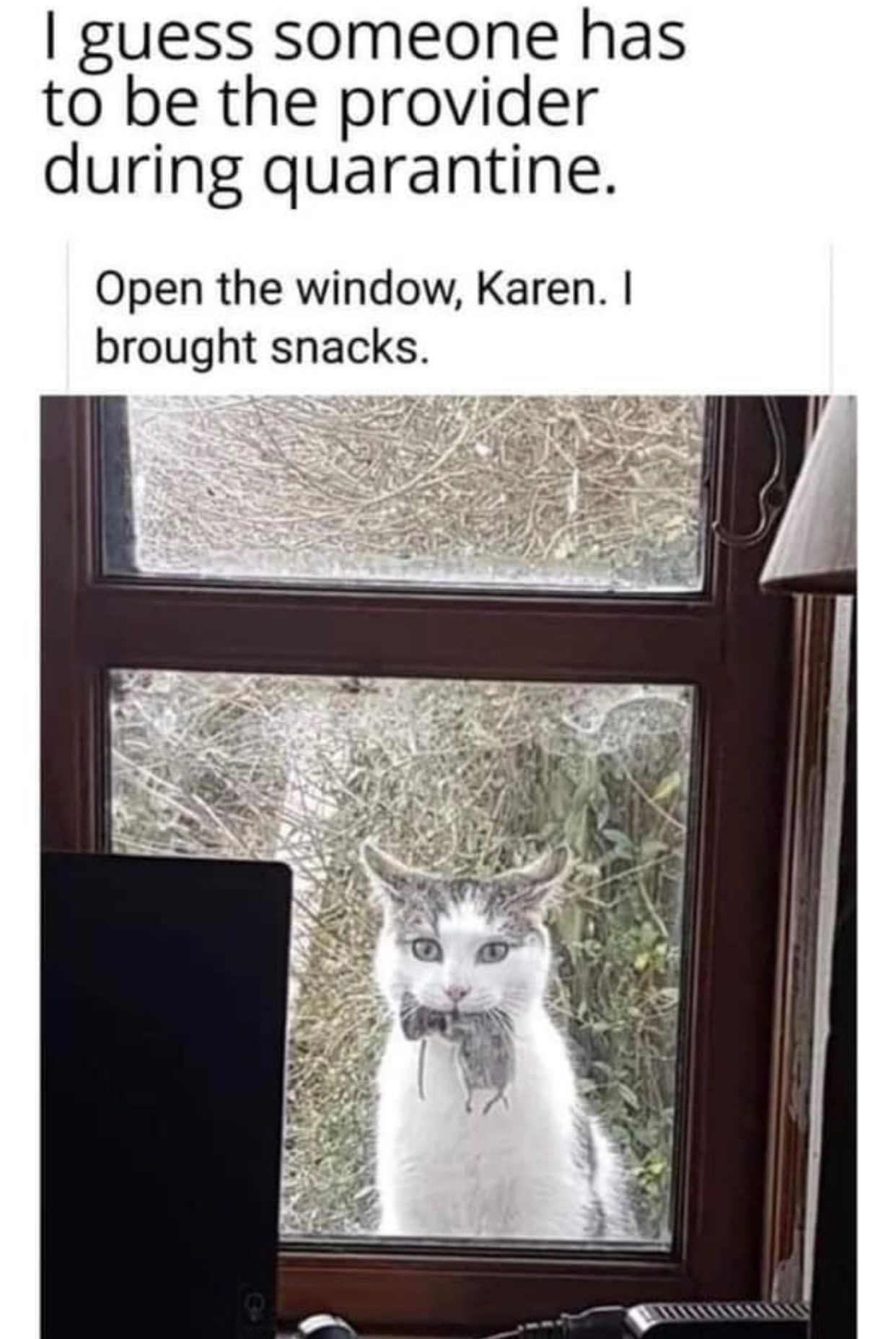 1586184265425.jpeg