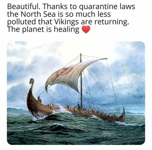 1589826636282.png