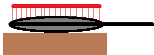 1592862461250.png