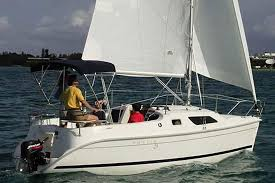 1595596350196.png