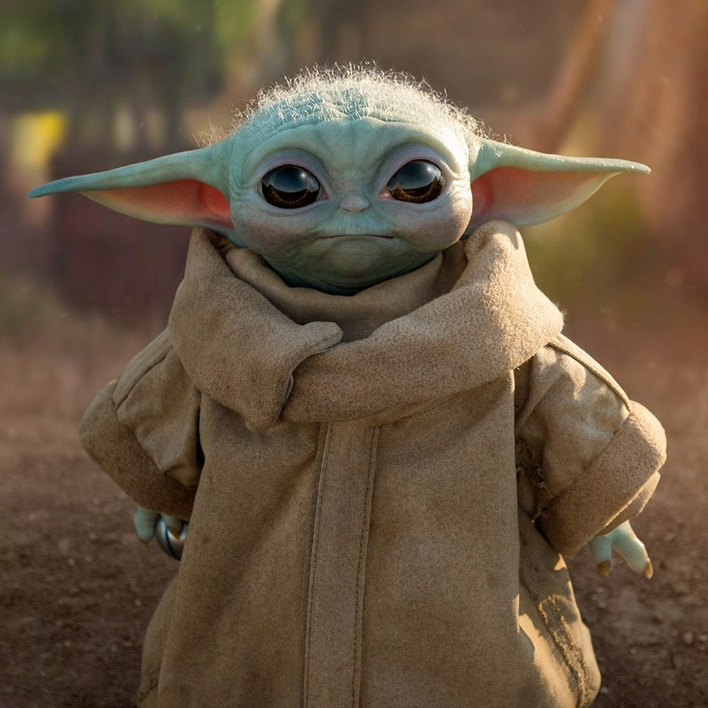 1605302642621.png