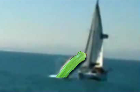 1605649753461.png