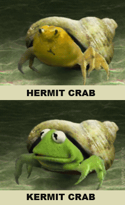1617335373960.png