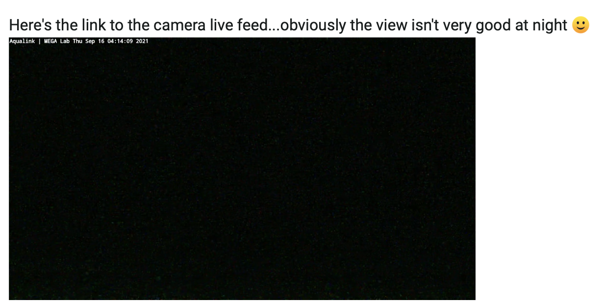 1631801736967.png