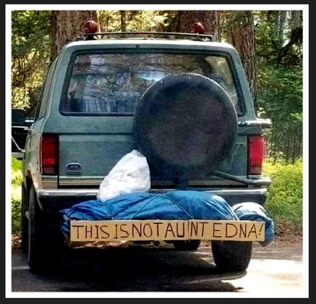 1665754205785.png