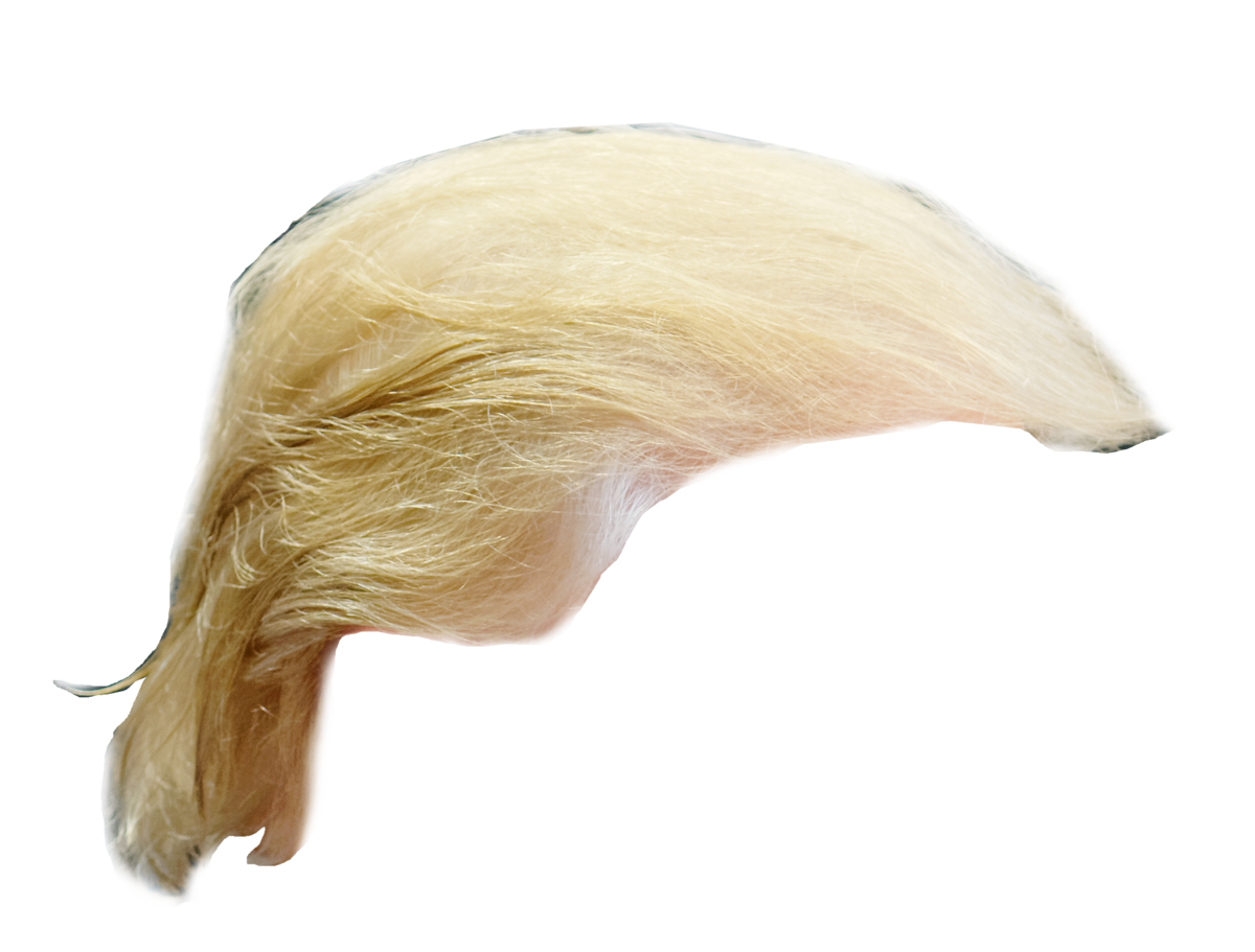 1668528593700.png