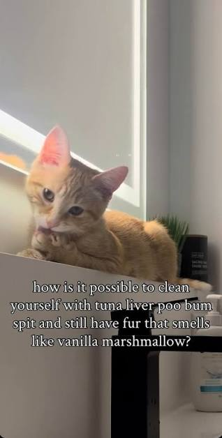 1790095465292.png