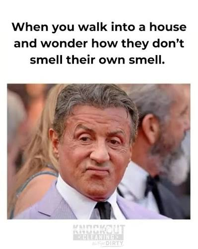 1790097742005.png