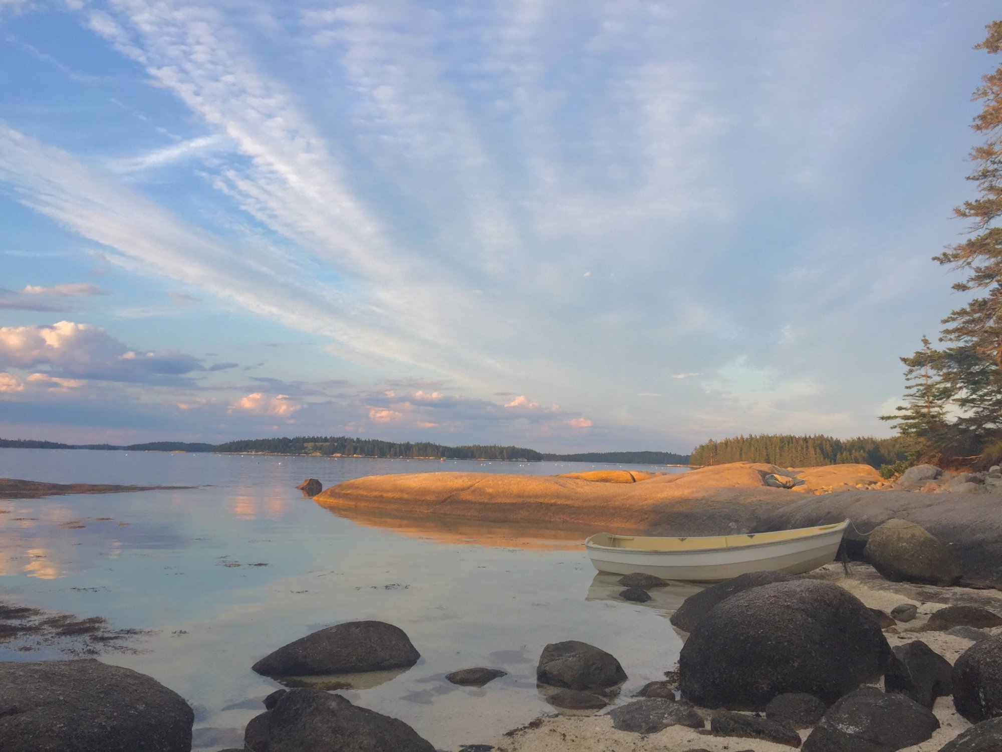 197548BB-213A-4F4F-9071-FE35579D1C39.jpeg
