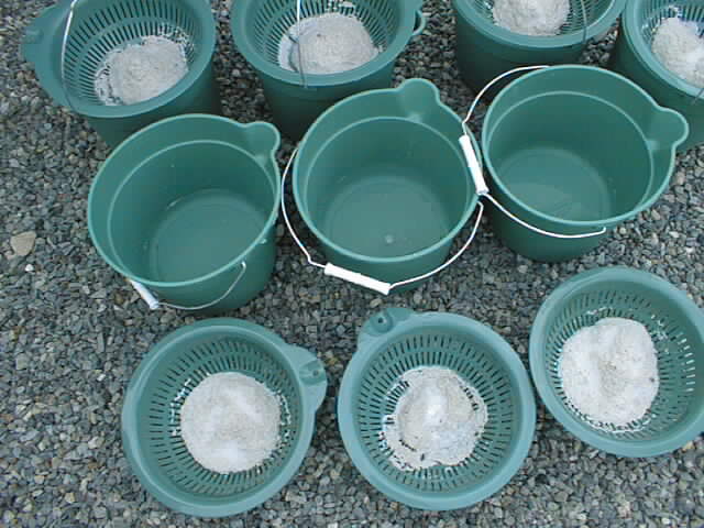 2000_0325_203238AA.jpg
