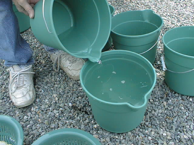 2000_0325_203252AA.jpg