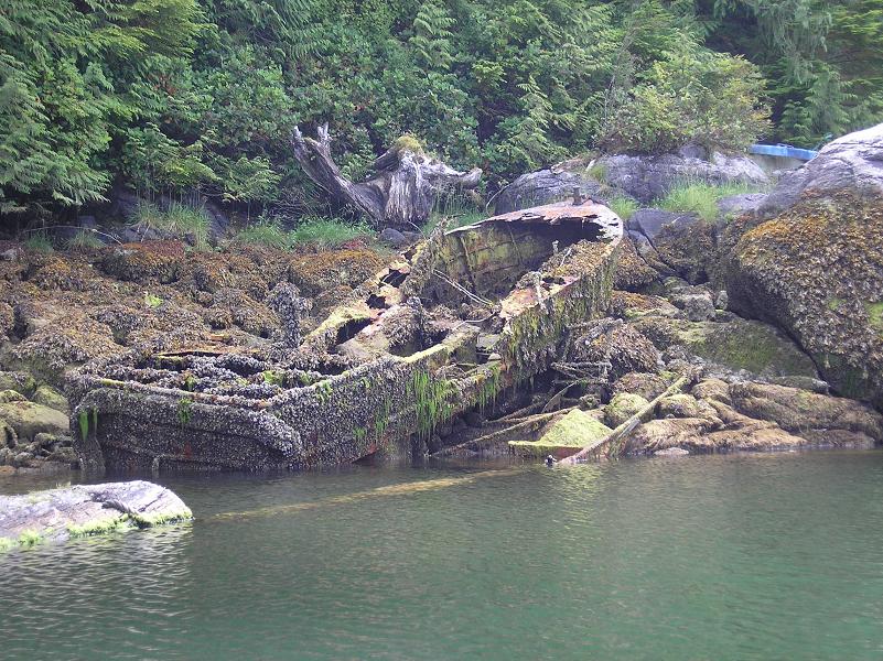 2006 July - Shawl Bay.JPG