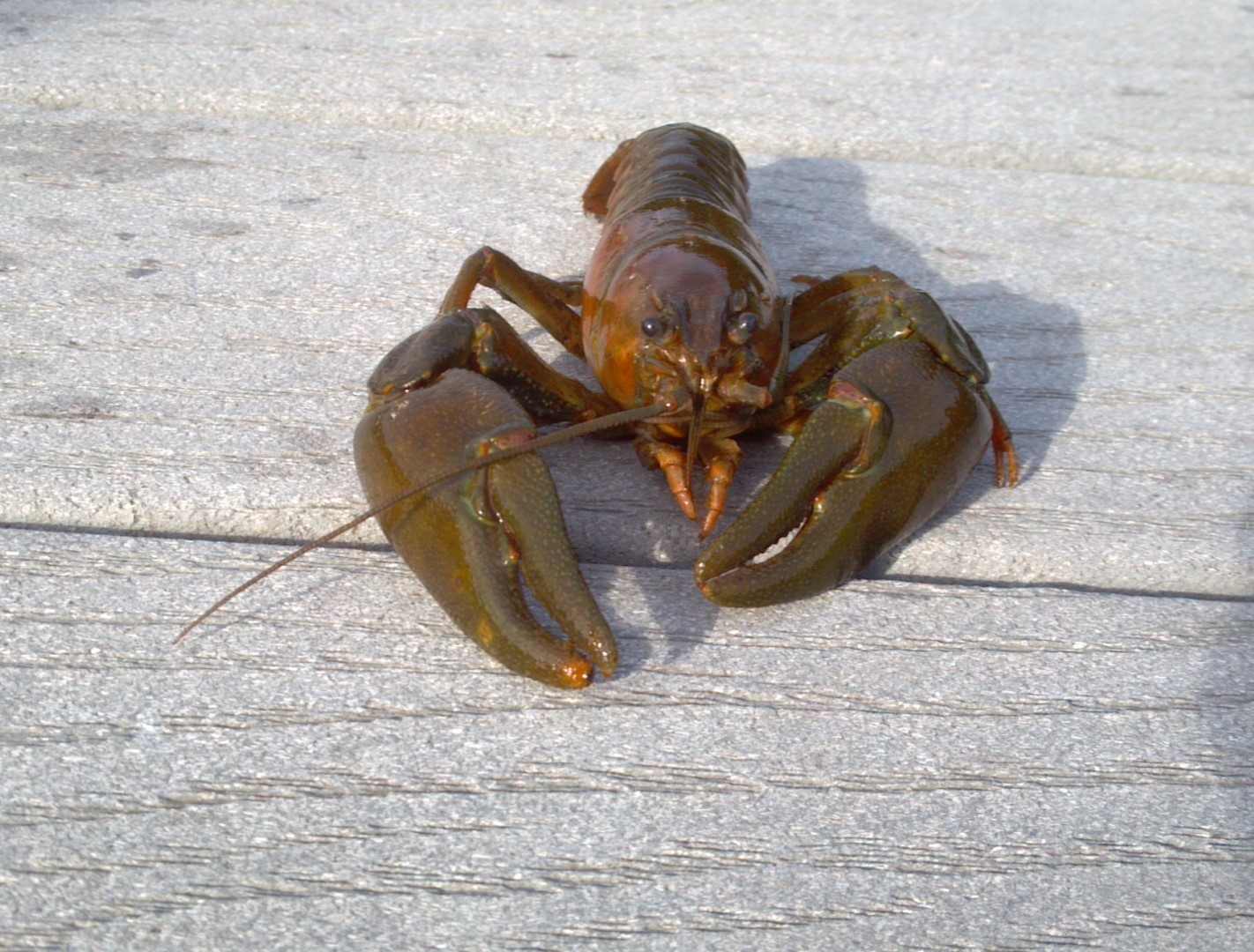 2013-05-11_07-55-12_778.jpg