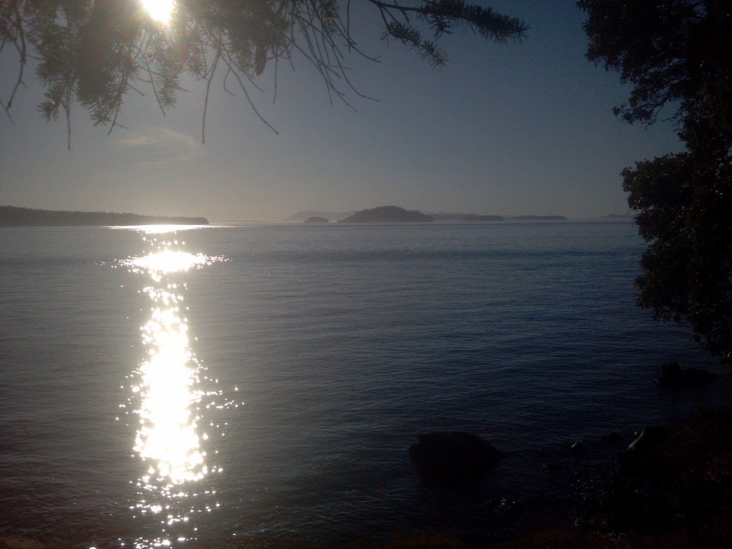 2013-07-26_19-11-59_871.jpg