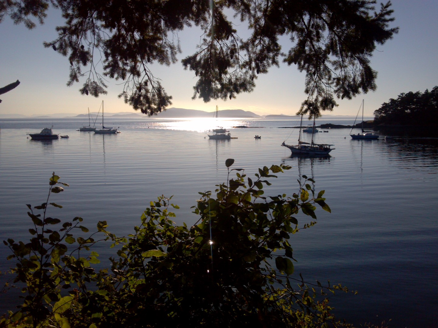 2013-07-27_18-53-09_702.jpg