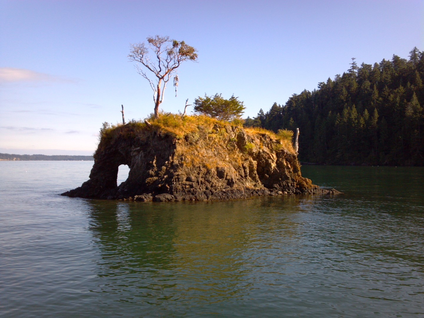 2013-08-03_17-18-46_942.jpg