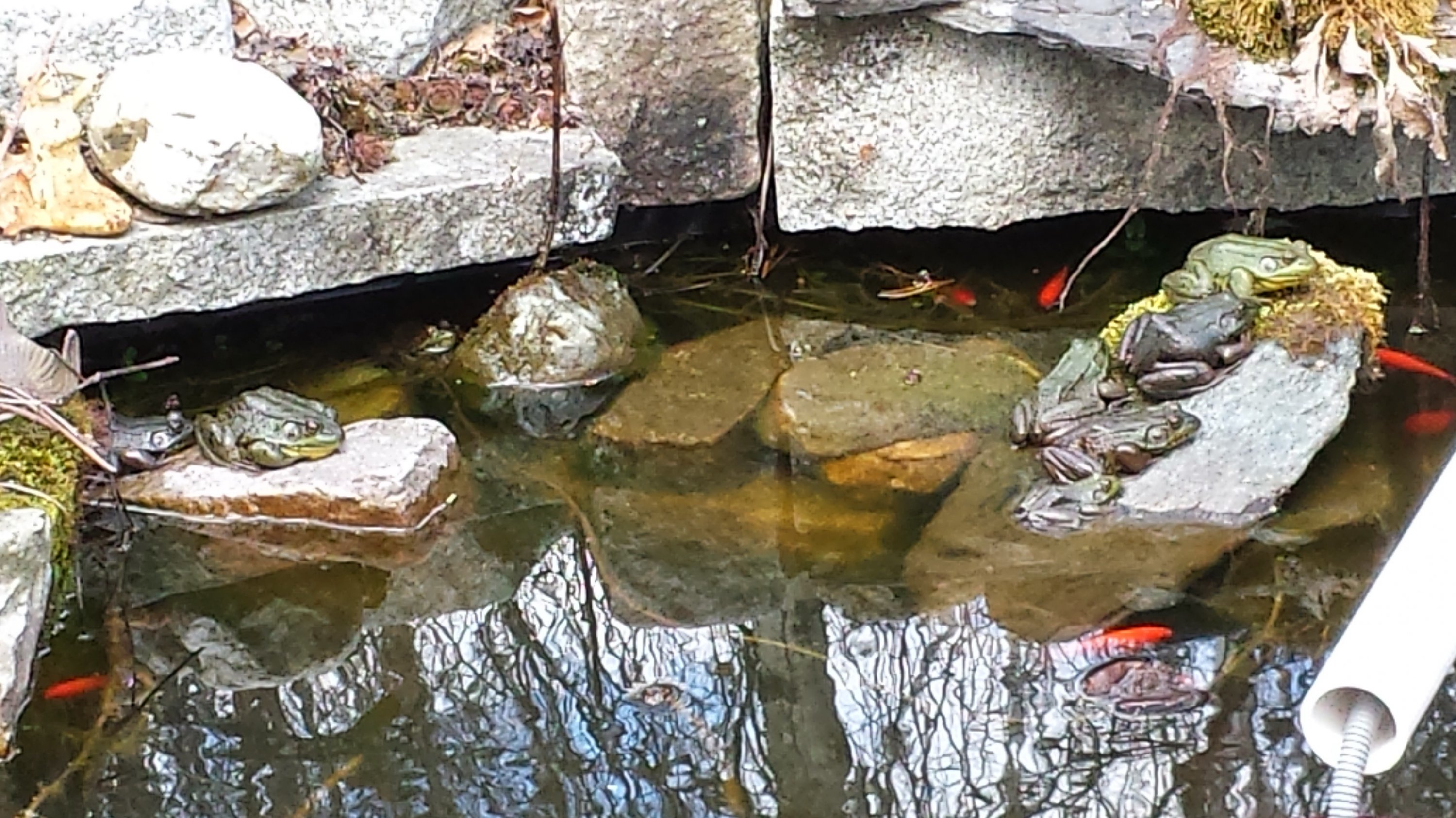 20140513_133229.jpg
