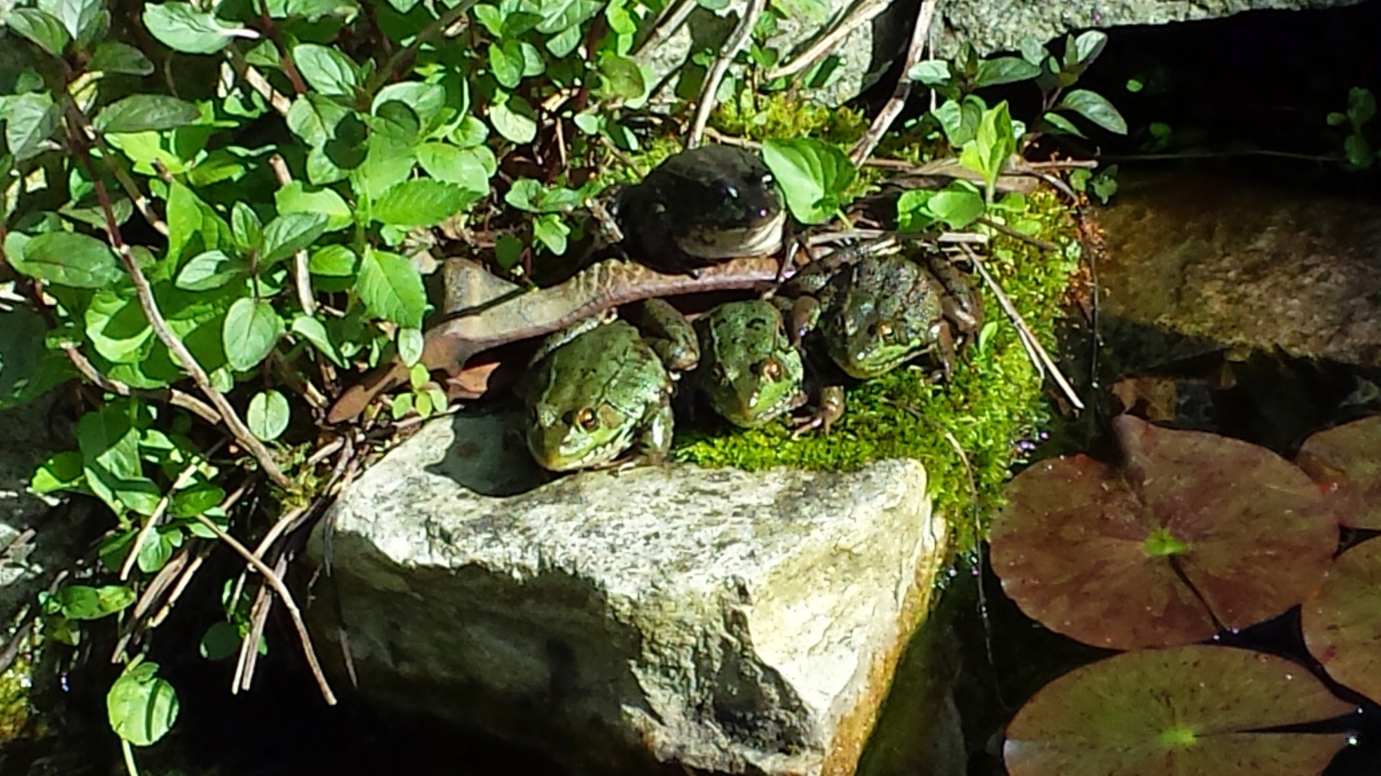 20140602_083155.jpg