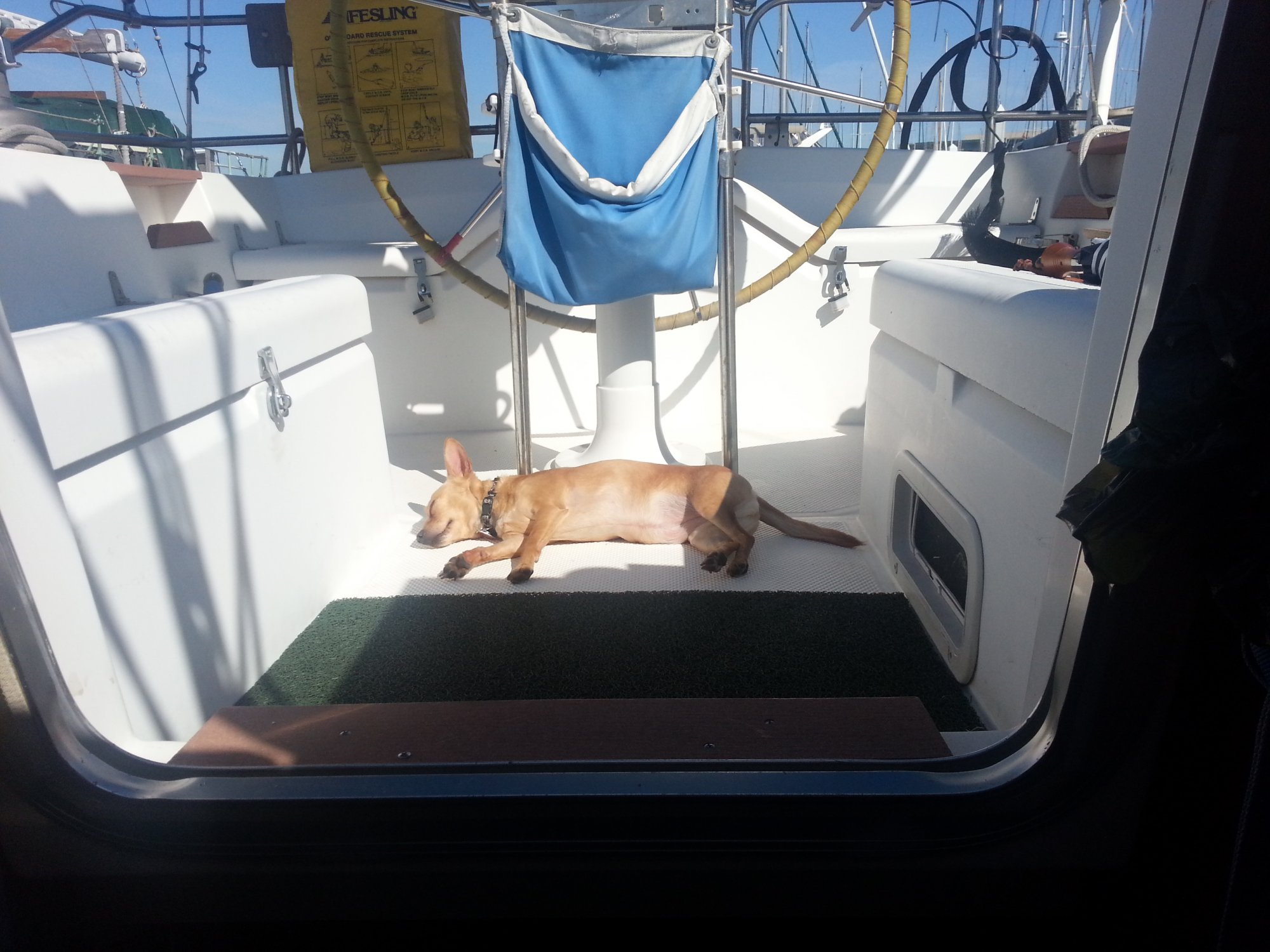 20140724_165702.jpg