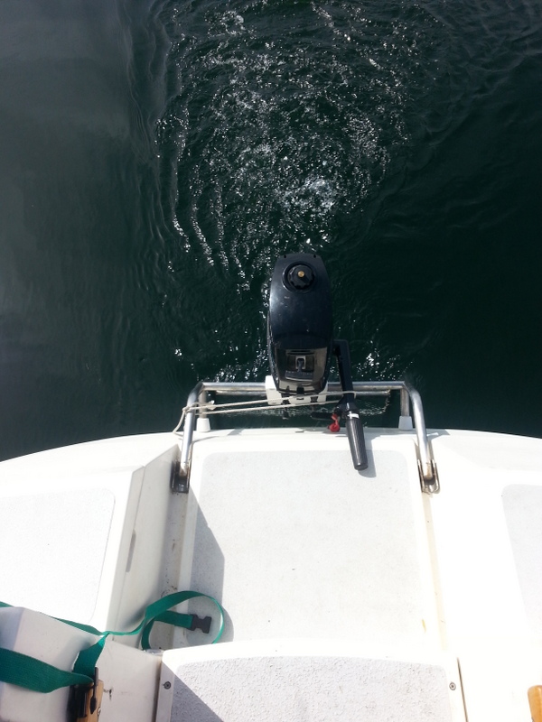 20150531_160803.jpg