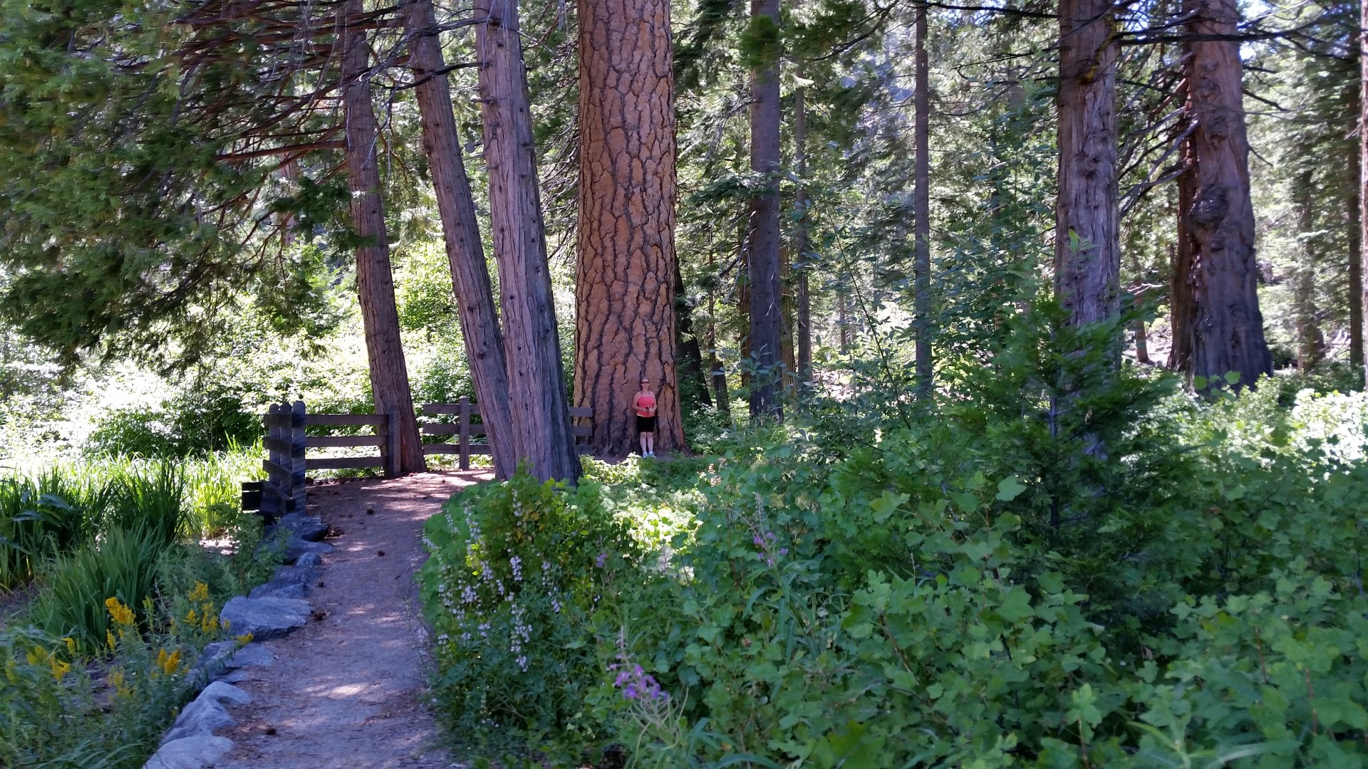 20150724_141531.jpg