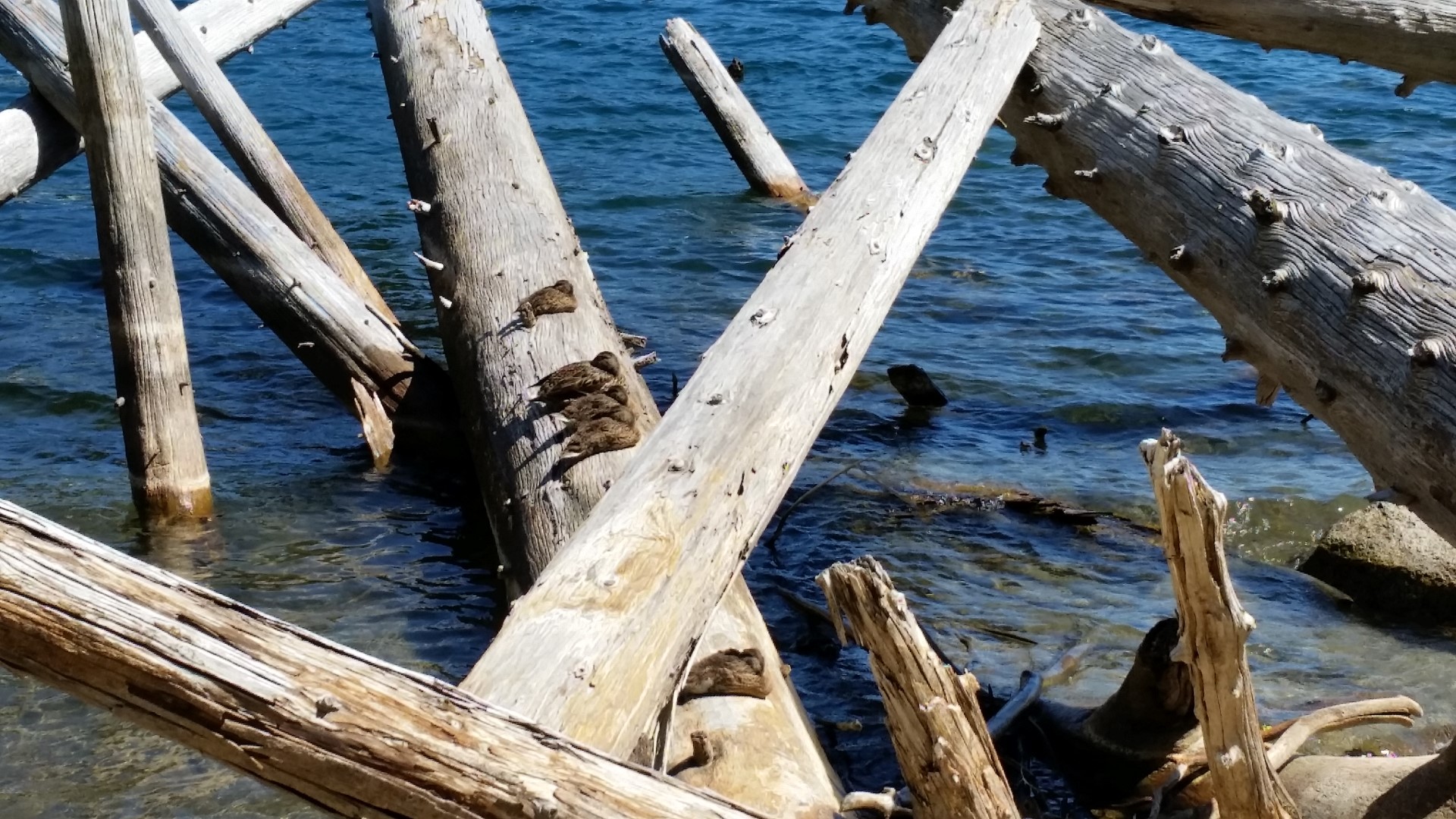 20150725_110357.jpg
