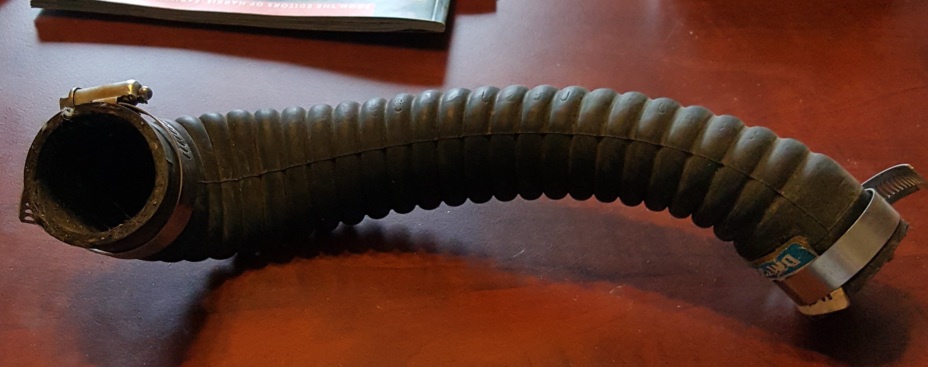 20160329_101211.jpg