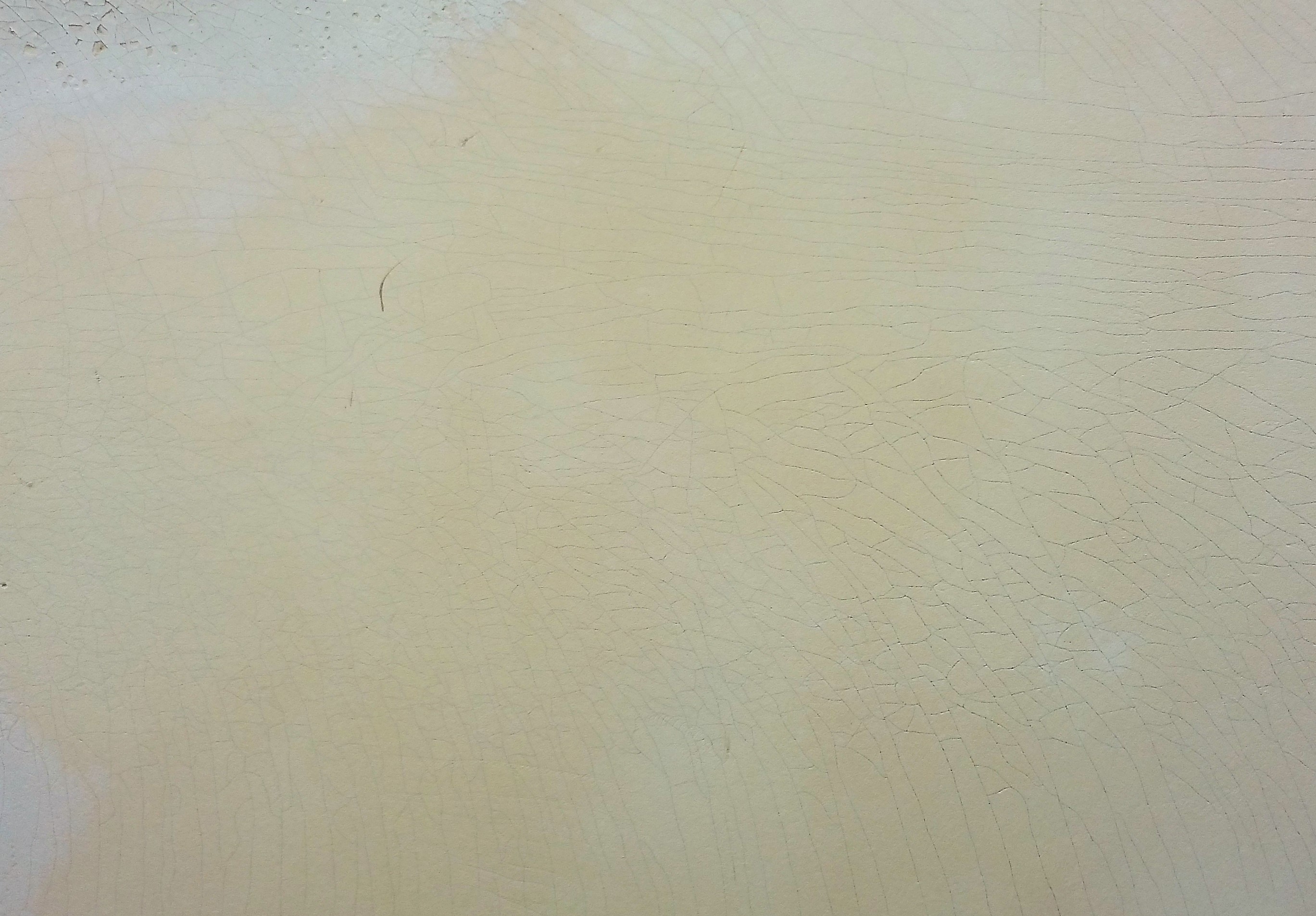 20160425_1409051.jpg