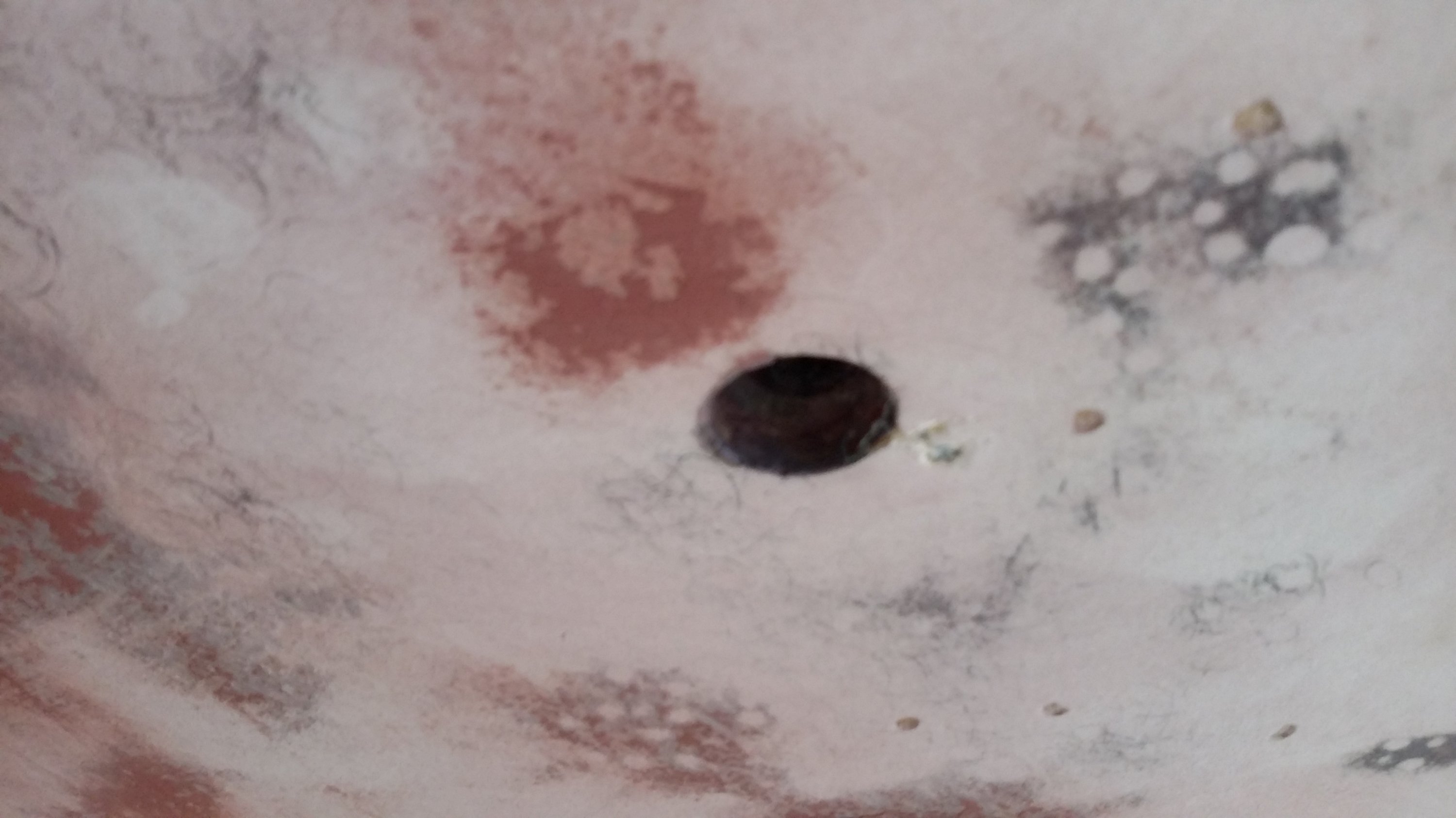 20160507_180810.jpg