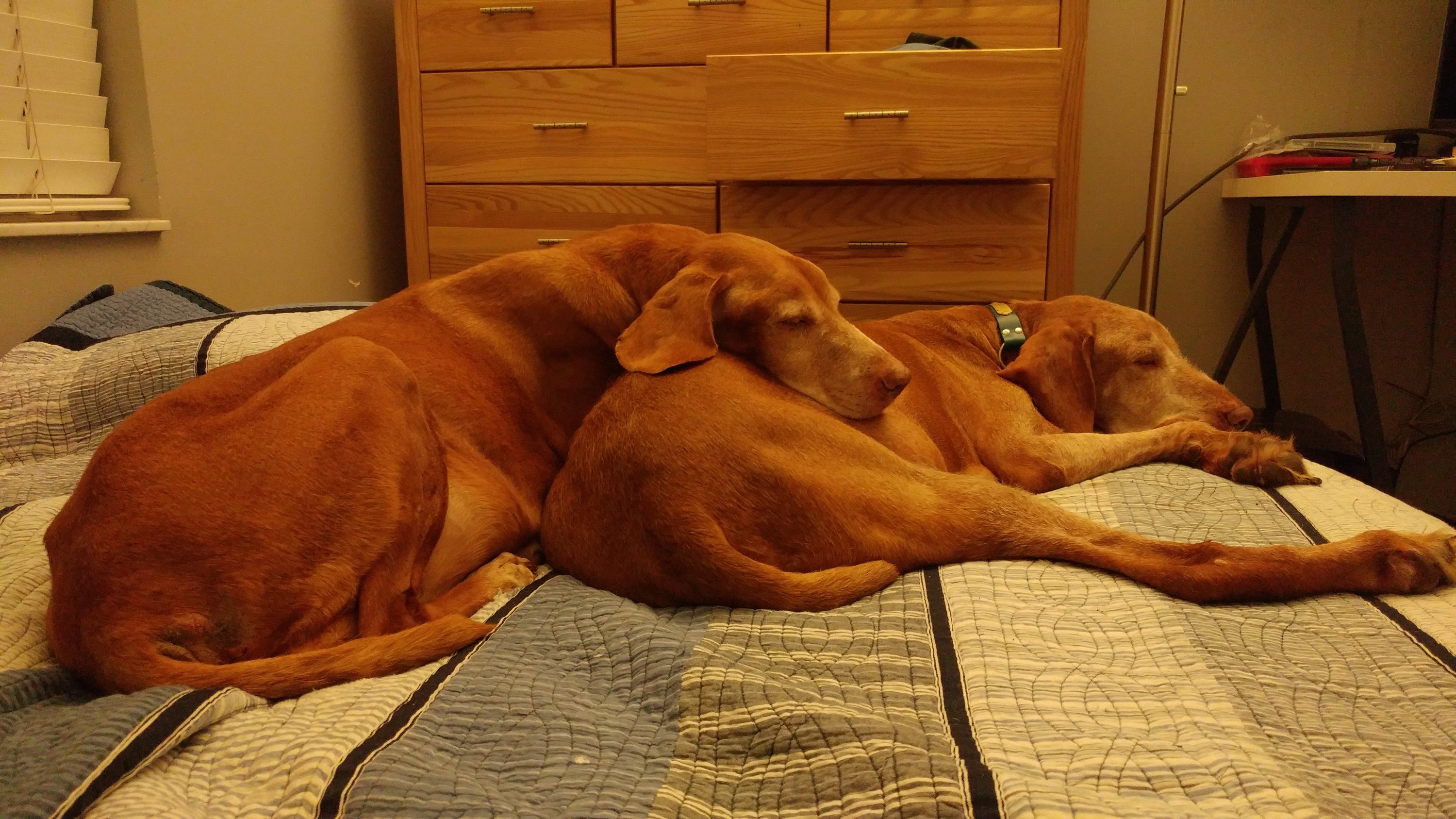 20160706_022159.jpg