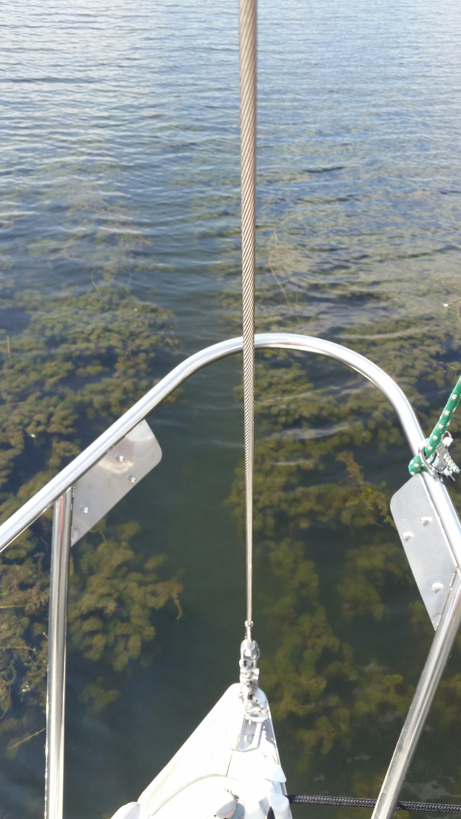 20160826_142947_resized.jpg
