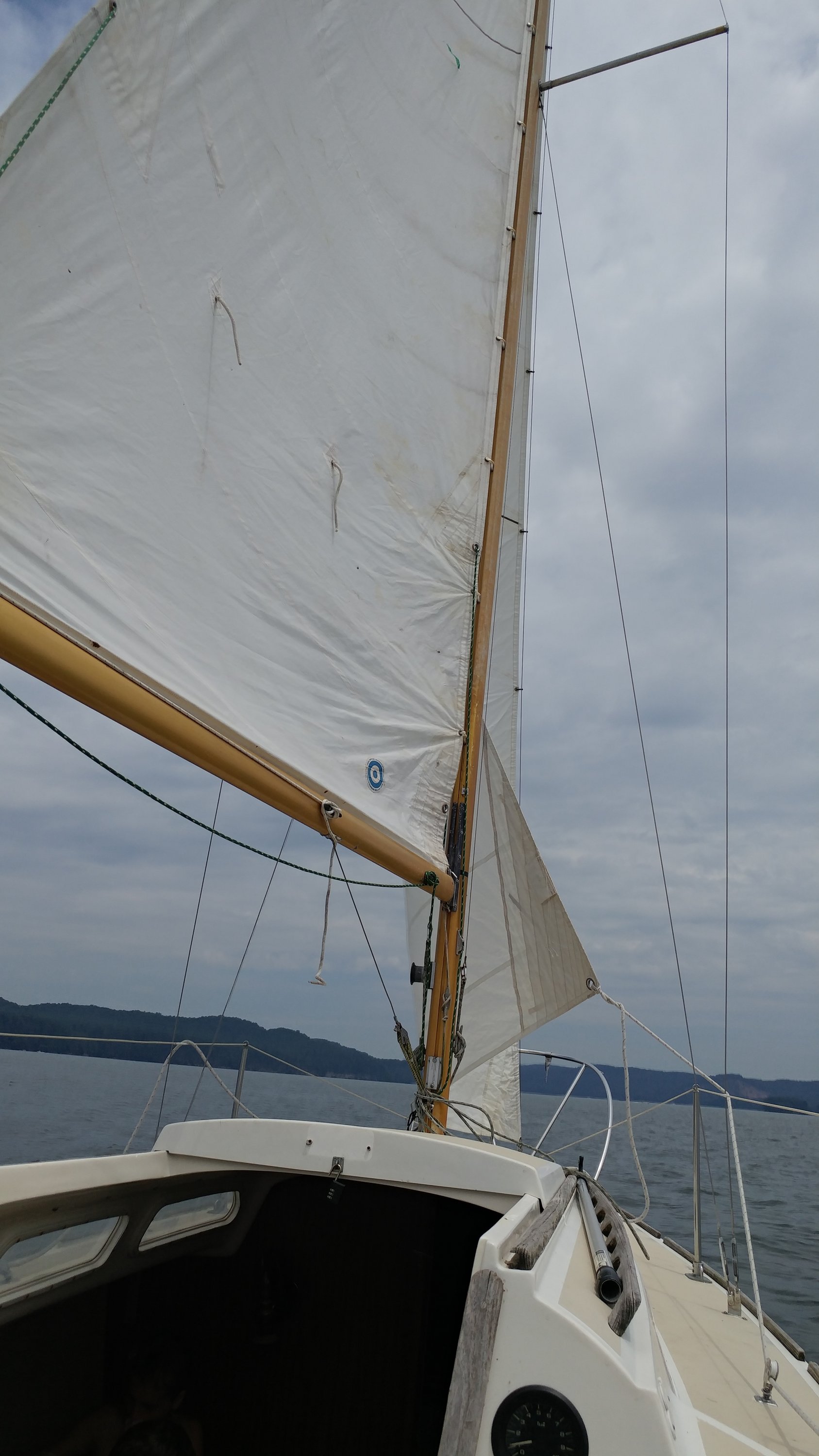 20170603_114223.jpg