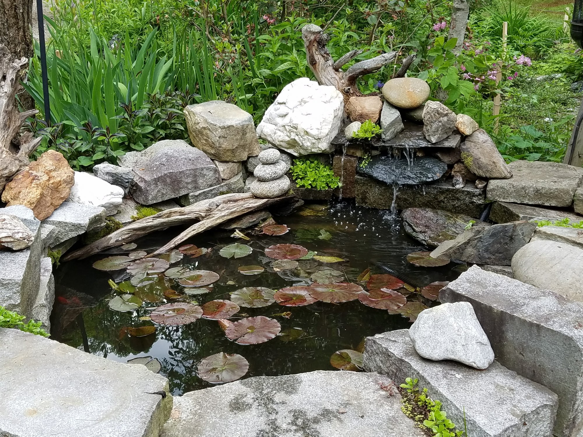 20170610_182146.jpg