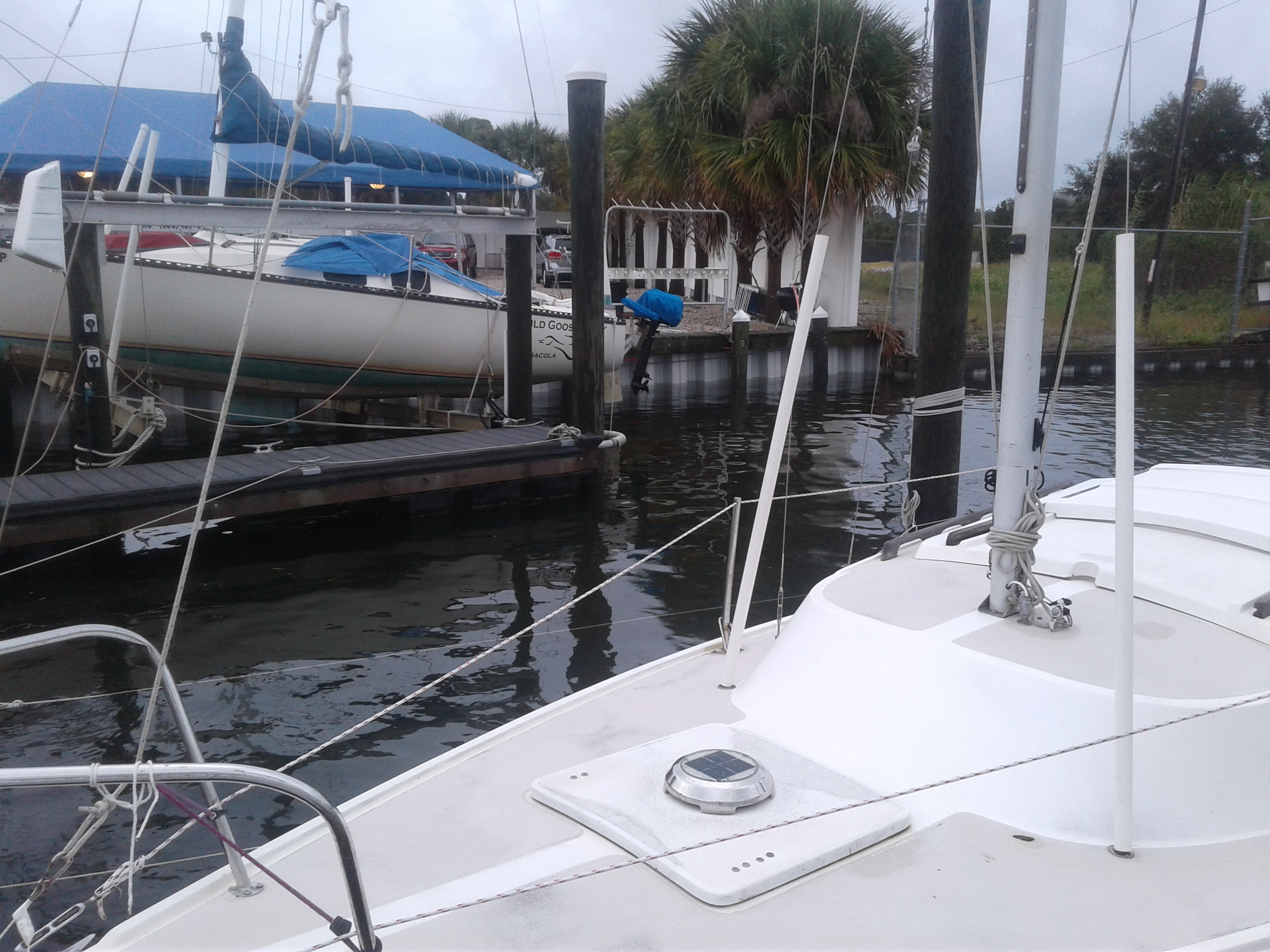 20171008_072022.jpg