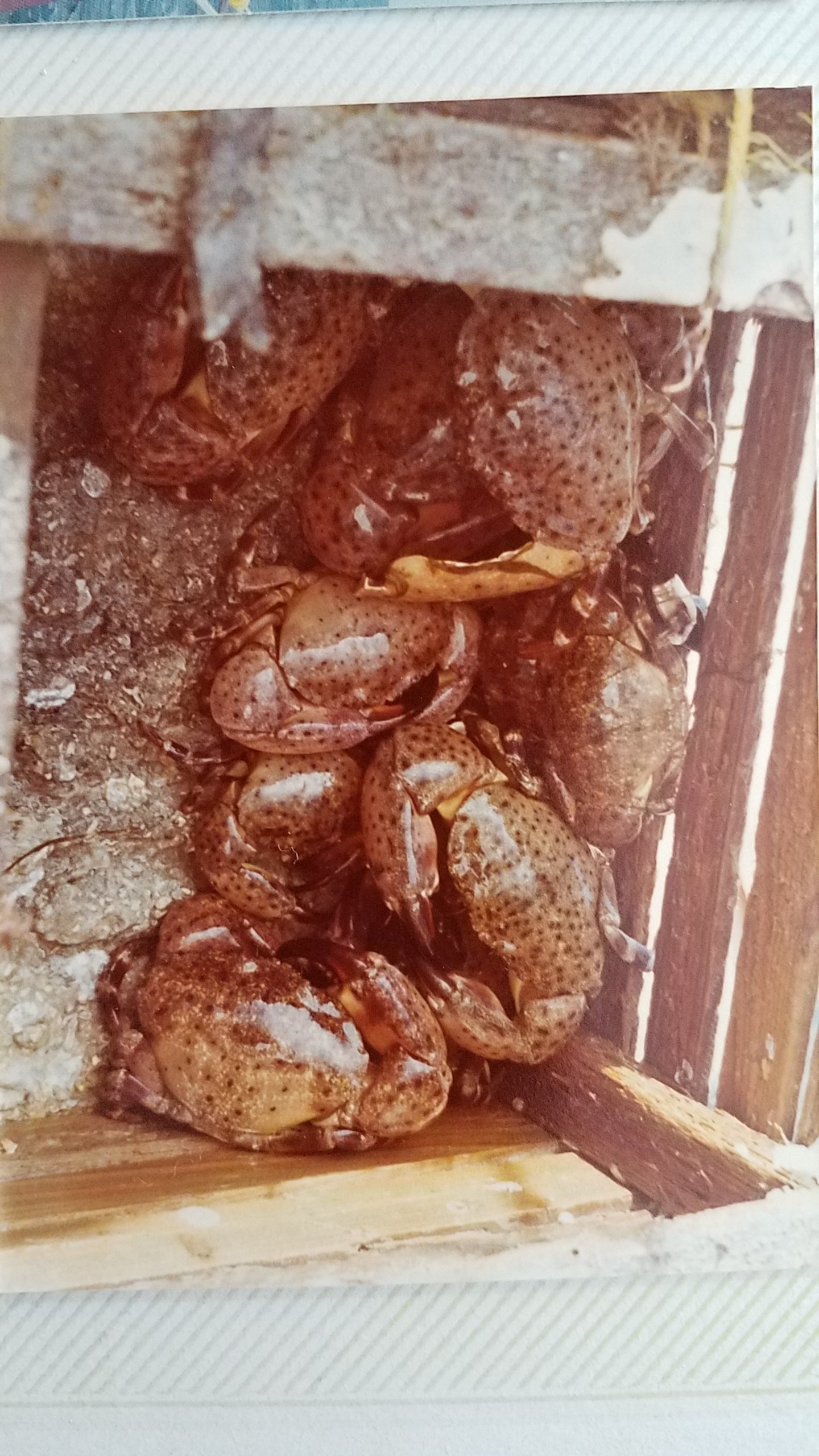 20180219_143614.jpg
