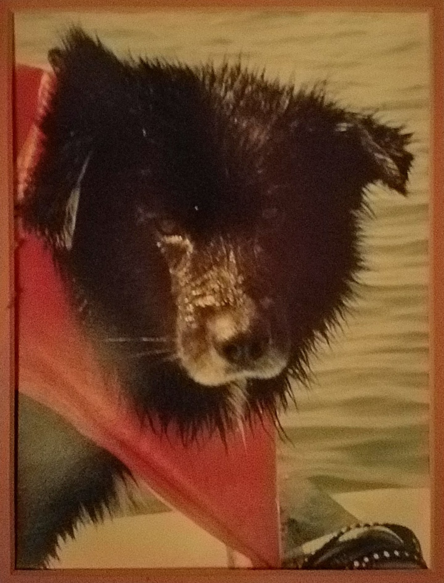 20180223_032757.jpg