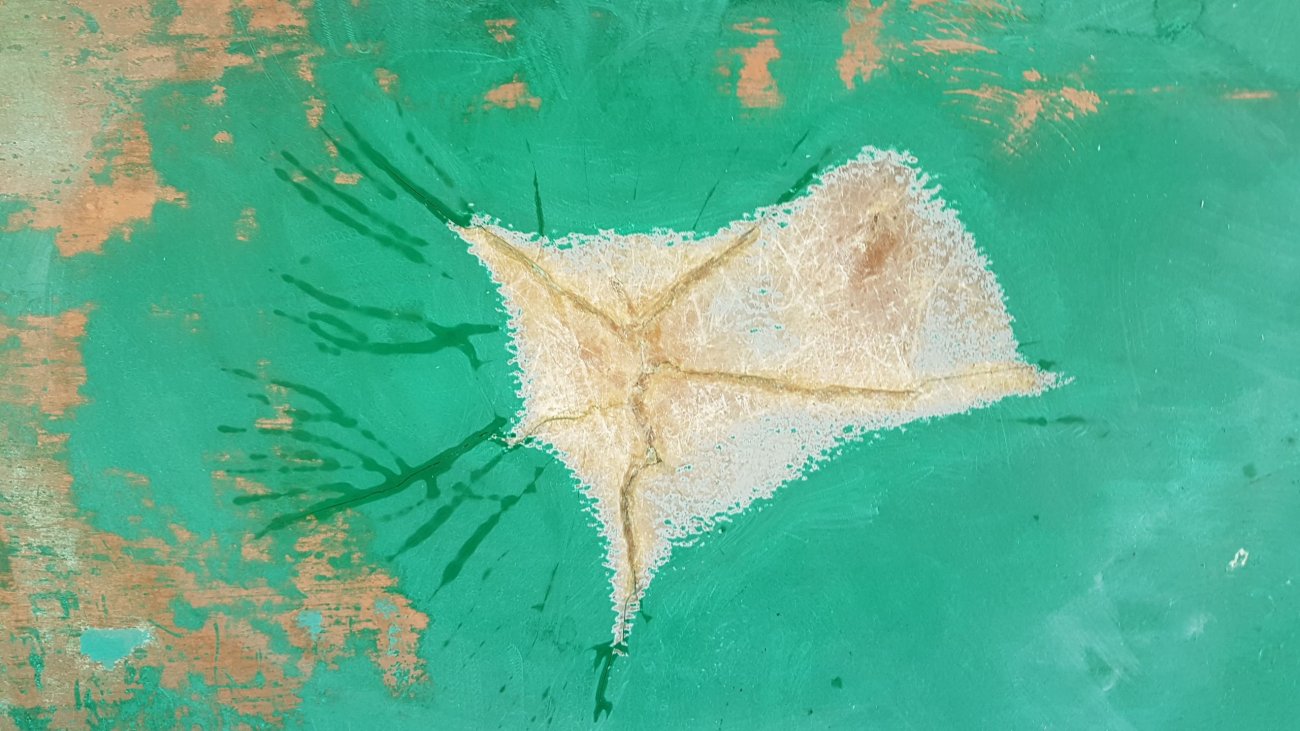 20180609_122542.jpg