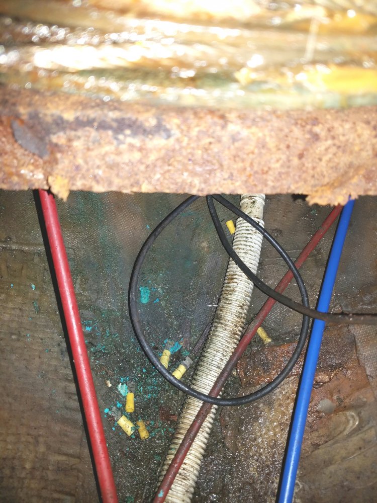 20180613_120747.jpg