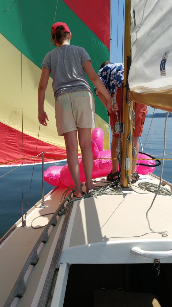 20180617_110631.jpg