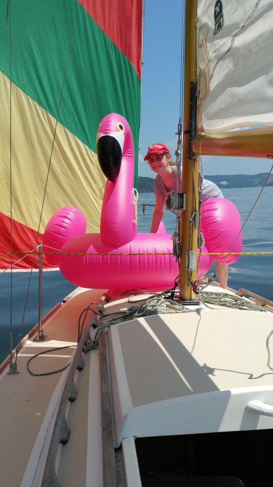 20180617_110846.jpg